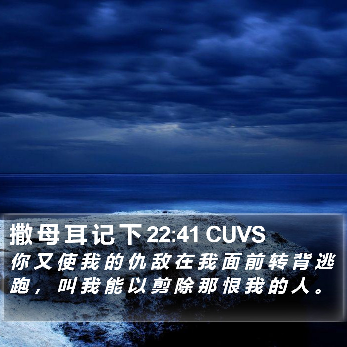 撒 母 耳 记 下 22:41 CUVS Bible Study