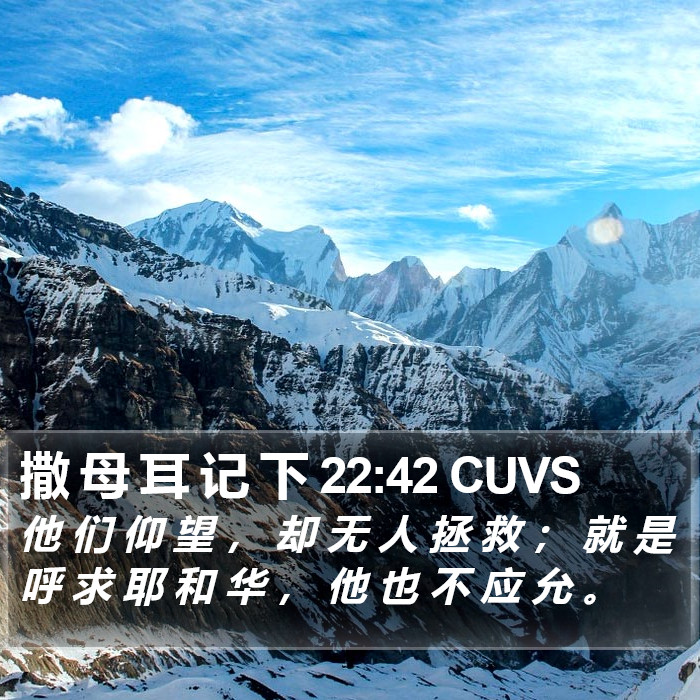 撒 母 耳 记 下 22:42 CUVS Bible Study