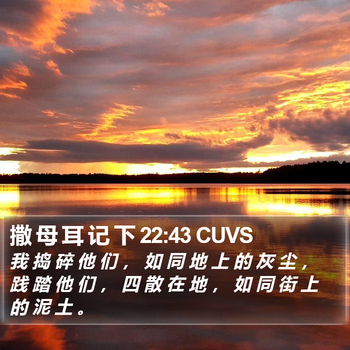 撒 母 耳 记 下 22:43 CUVS Bible Study