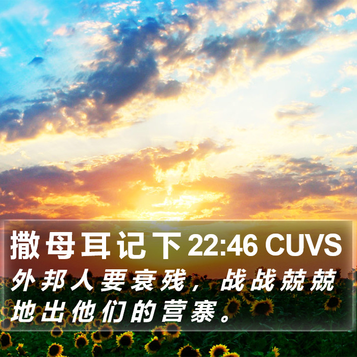 撒 母 耳 记 下 22:46 CUVS Bible Study