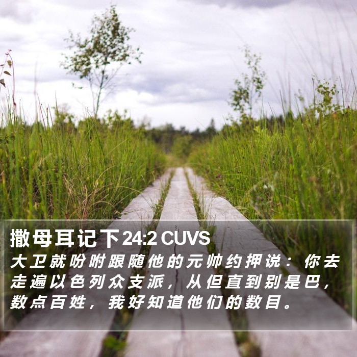撒 母 耳 记 下 24:2 CUVS Bible Study
