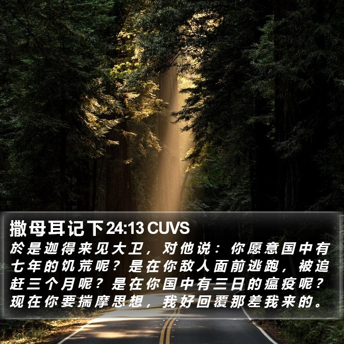 撒 母 耳 记 下 24:13 CUVS Bible Study