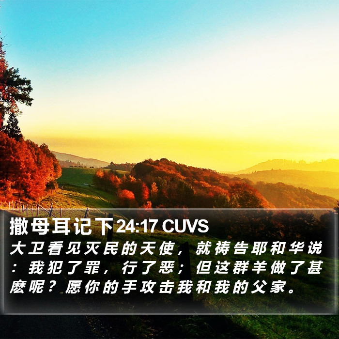 撒 母 耳 记 下 24:17 CUVS Bible Study