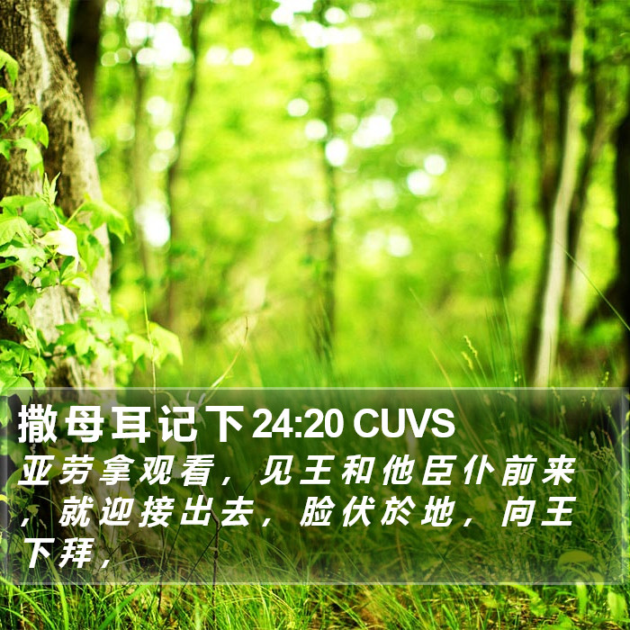 撒 母 耳 记 下 24:20 CUVS Bible Study