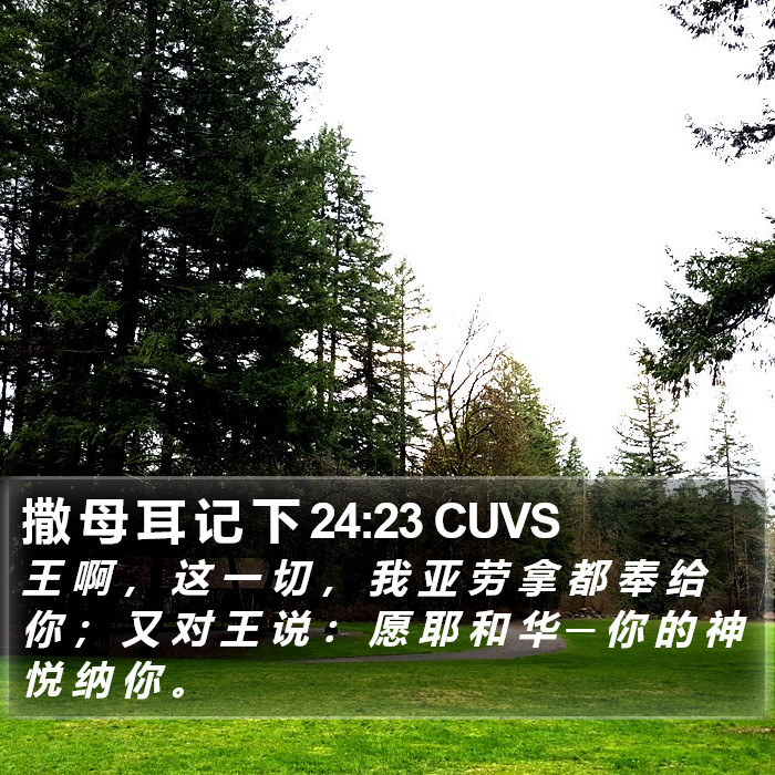 撒 母 耳 记 下 24:23 CUVS Bible Study