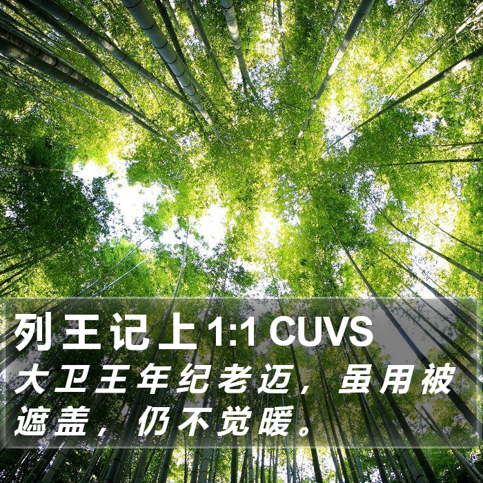 列 王 记 上 1:1 CUVS Bible Study