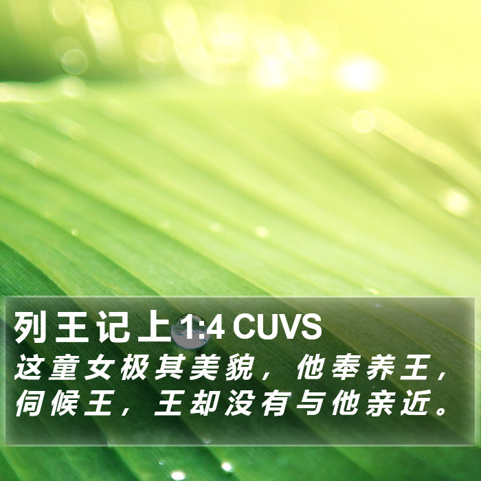 列 王 记 上 1:4 CUVS Bible Study