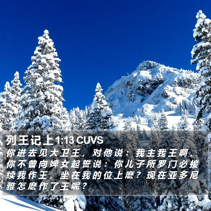 列 王 记 上 1:13 CUVS Bible Study