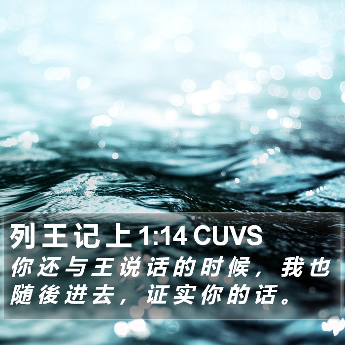 列 王 记 上 1:14 CUVS Bible Study