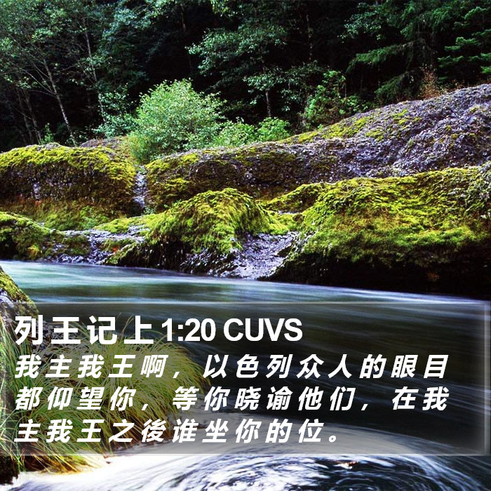 列 王 记 上 1:20 CUVS Bible Study