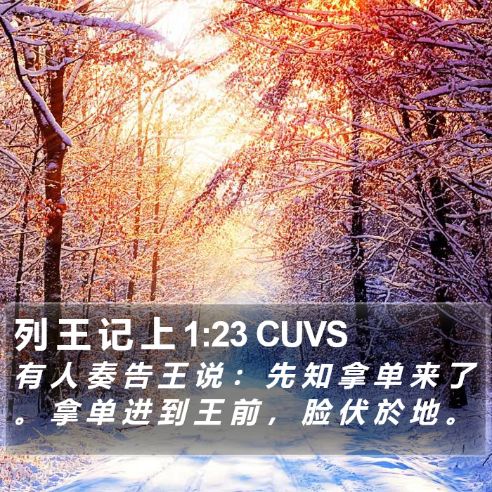 列 王 记 上 1:23 CUVS Bible Study