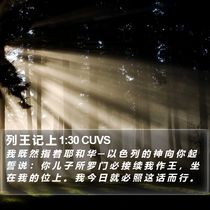 列 王 记 上 1:30 CUVS Bible Study