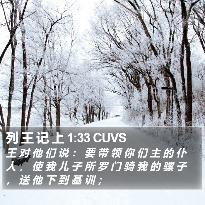 列 王 记 上 1:33 CUVS Bible Study