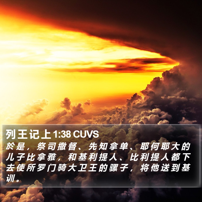 列 王 记 上 1:38 CUVS Bible Study