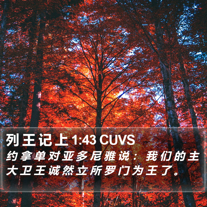 列 王 记 上 1:43 CUVS Bible Study