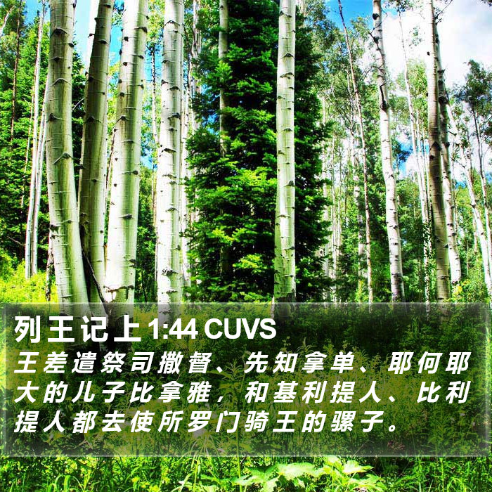 列 王 记 上 1:44 CUVS Bible Study