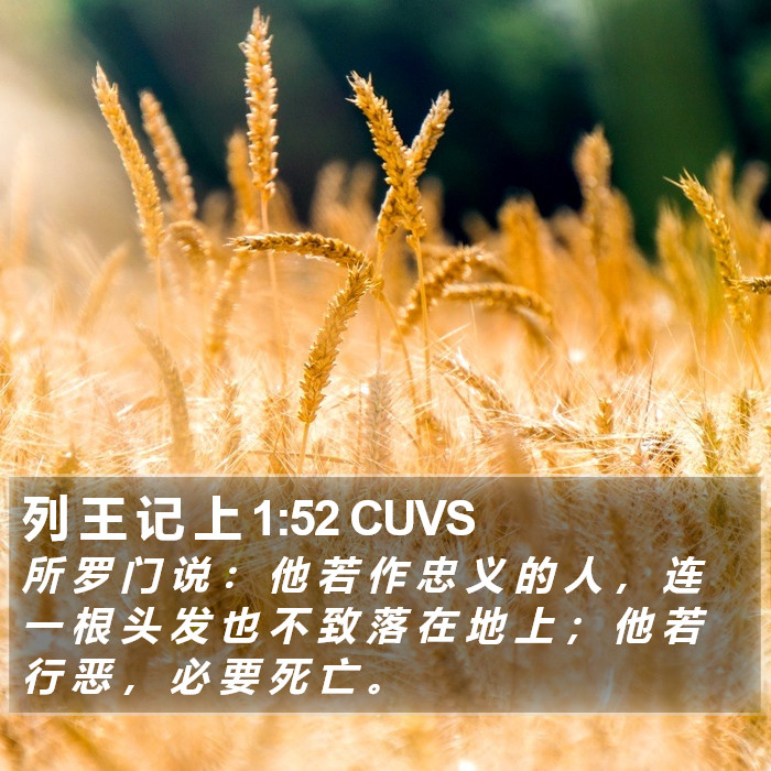 列 王 记 上 1:52 CUVS Bible Study