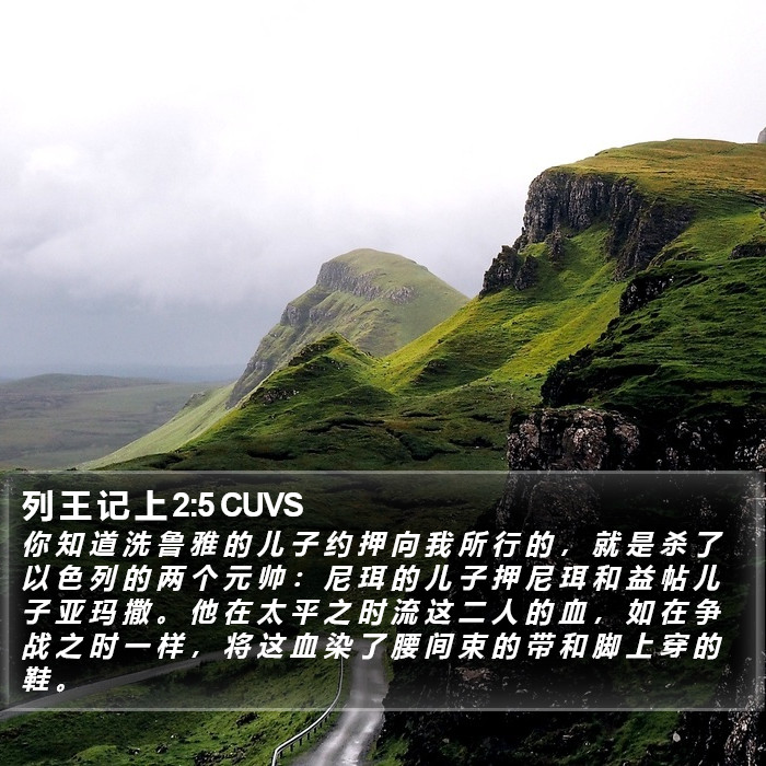 列 王 记 上 2:5 CUVS Bible Study