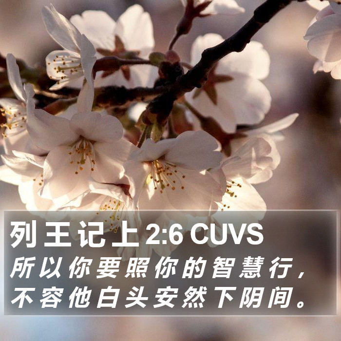 列 王 记 上 2:6 CUVS Bible Study
