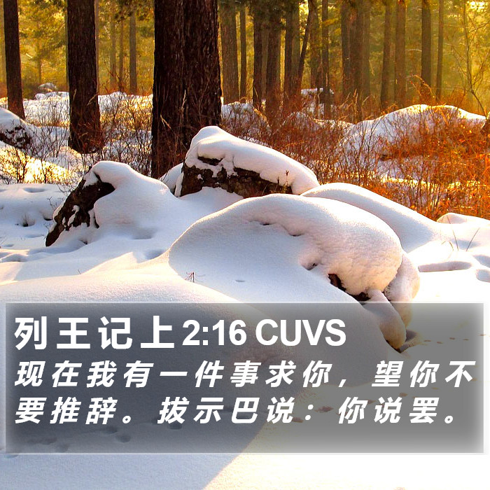 列 王 记 上 2:16 CUVS Bible Study