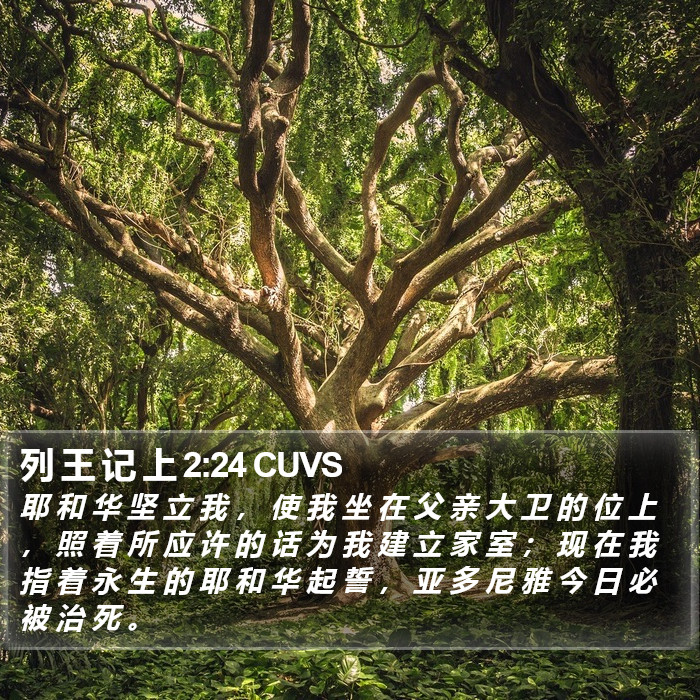 列 王 记 上 2:24 CUVS Bible Study