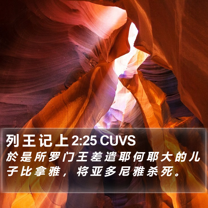 列 王 记 上 2:25 CUVS Bible Study