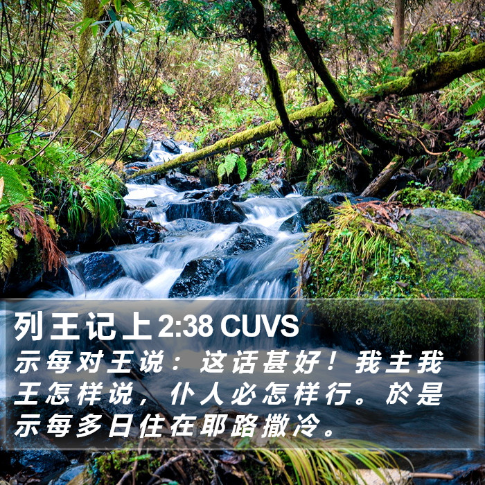 列 王 记 上 2:38 CUVS Bible Study