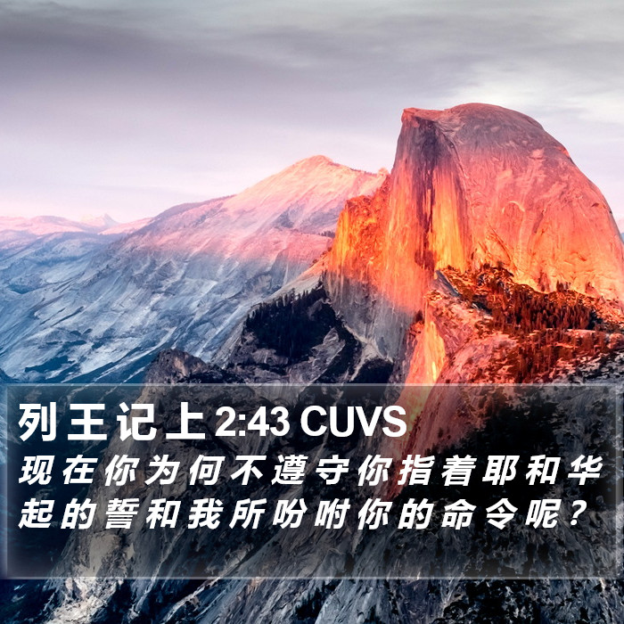 列 王 记 上 2:43 CUVS Bible Study