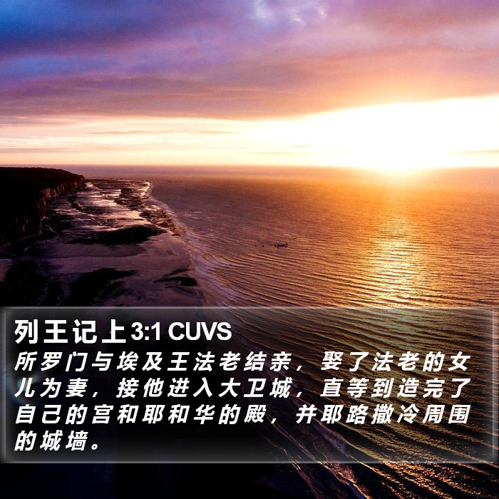 列 王 记 上 3:1 CUVS Bible Study