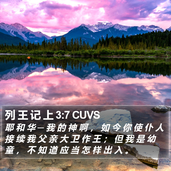 列 王 记 上 3:7 CUVS Bible Study