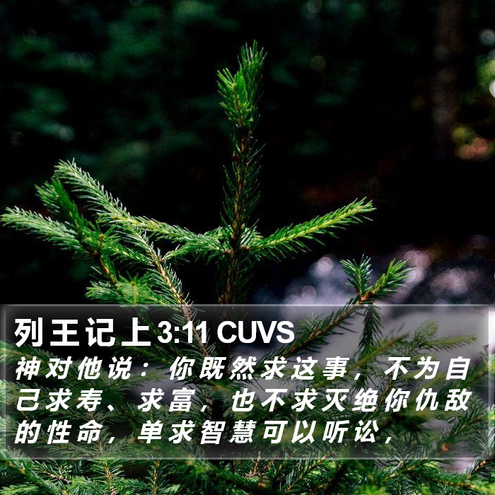 列 王 记 上 3:11 CUVS Bible Study