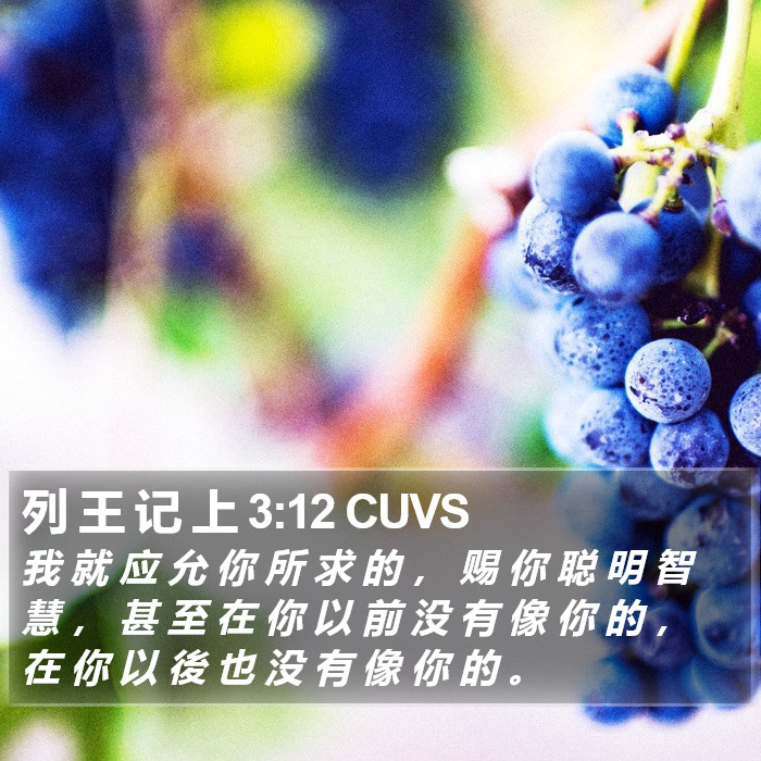 列 王 记 上 3:12 CUVS Bible Study