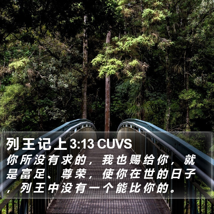 列 王 记 上 3:13 CUVS Bible Study