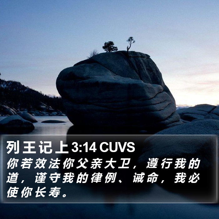 列 王 记 上 3:14 CUVS Bible Study