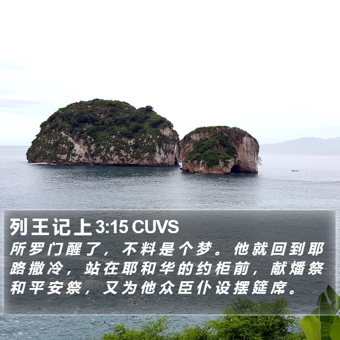 列 王 记 上 3:15 CUVS Bible Study