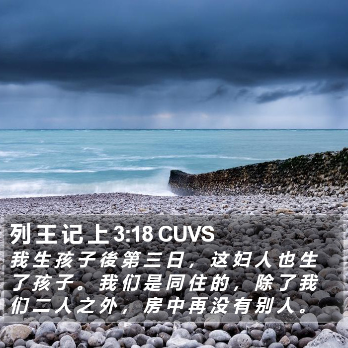 列 王 记 上 3:18 CUVS Bible Study