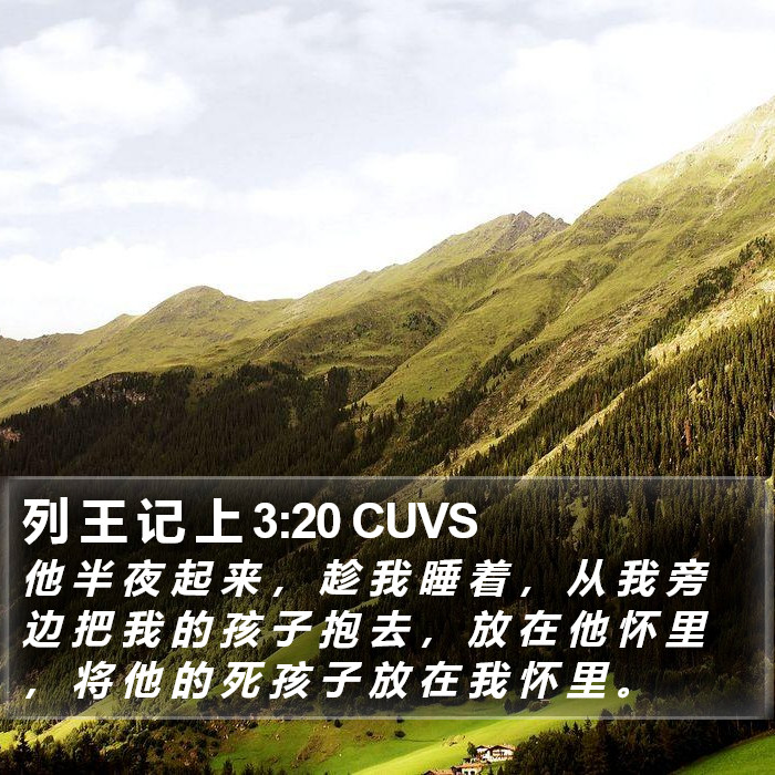 列 王 记 上 3:20 CUVS Bible Study