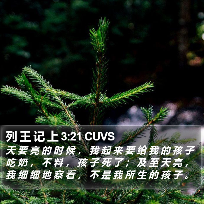 列 王 记 上 3:21 CUVS Bible Study