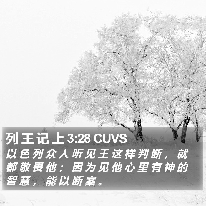 列 王 记 上 3:28 CUVS Bible Study