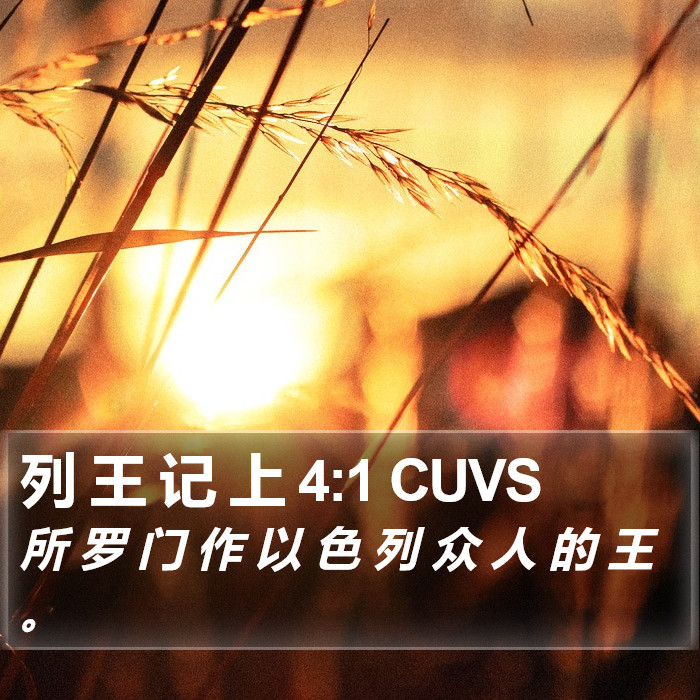 列 王 记 上 4:1 CUVS Bible Study