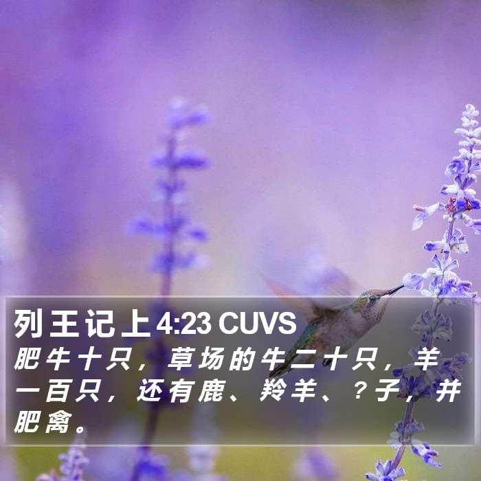 列 王 记 上 4:23 CUVS Bible Study