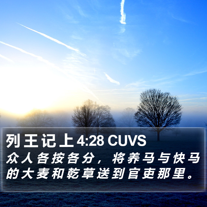 列 王 记 上 4:28 CUVS Bible Study