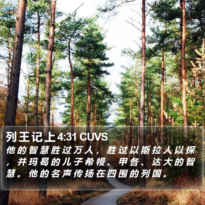 列 王 记 上 4:31 CUVS Bible Study