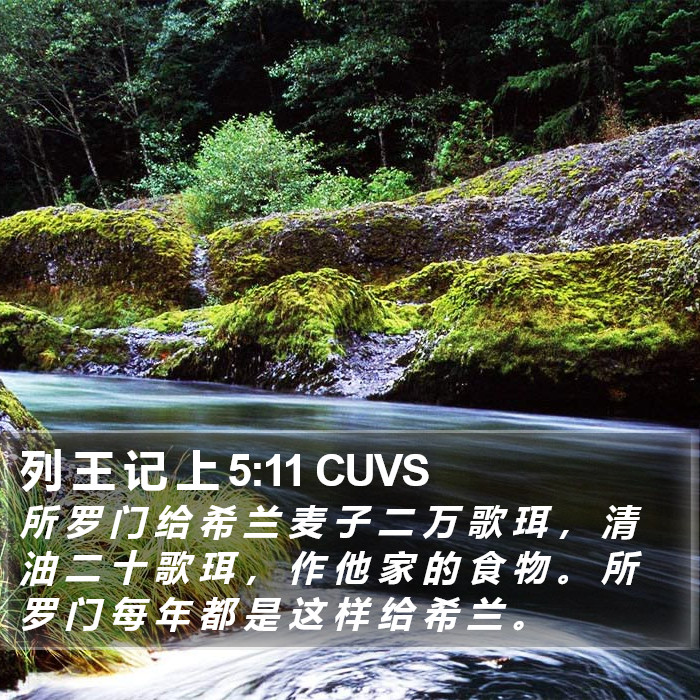 列 王 记 上 5:11 CUVS Bible Study