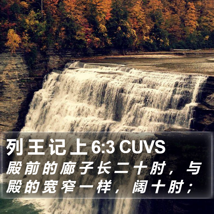 列 王 记 上 6:3 CUVS Bible Study