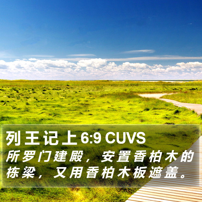 列 王 记 上 6:9 CUVS Bible Study