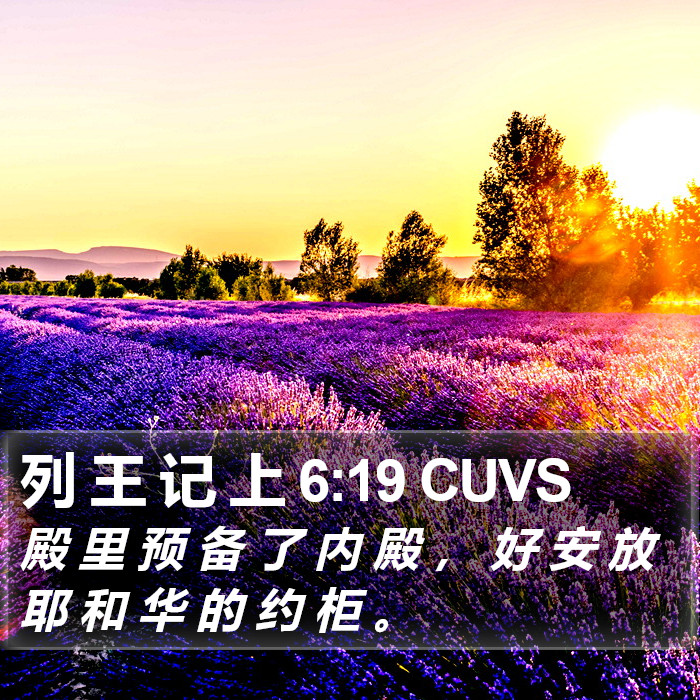 列 王 记 上 6:19 CUVS Bible Study