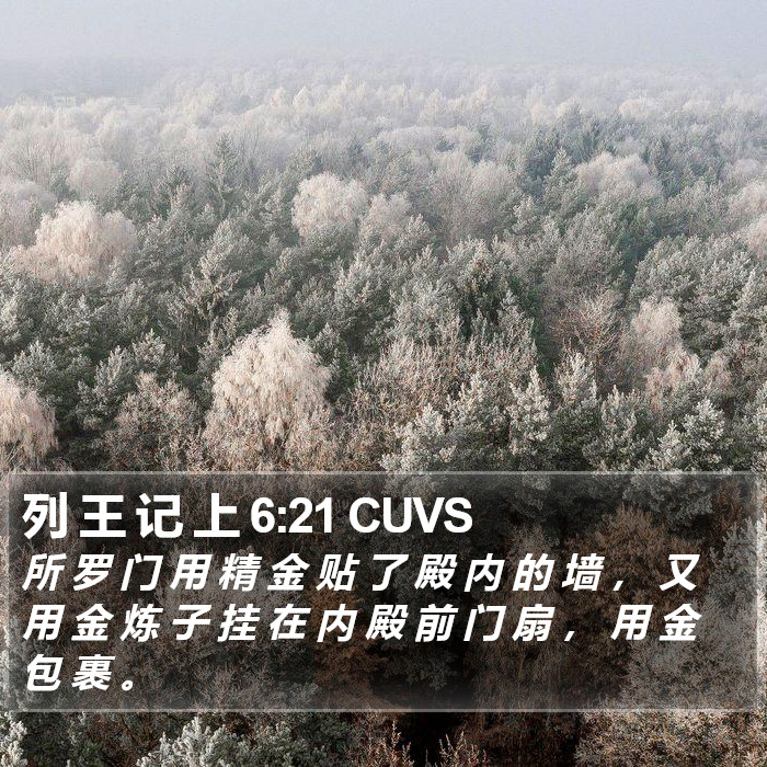 列 王 记 上 6:21 CUVS Bible Study
