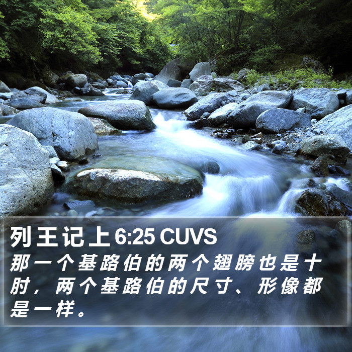 列 王 记 上 6:25 CUVS Bible Study