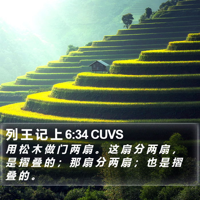 列 王 记 上 6:34 CUVS Bible Study